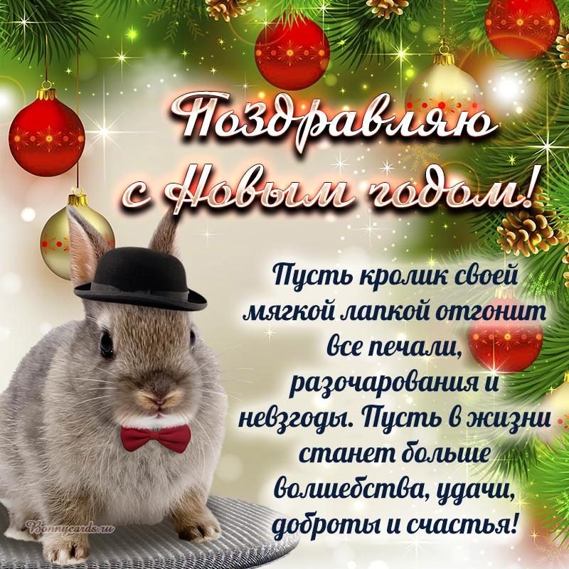 Оригинальные поздравления с Новым годом теще Год Кролика